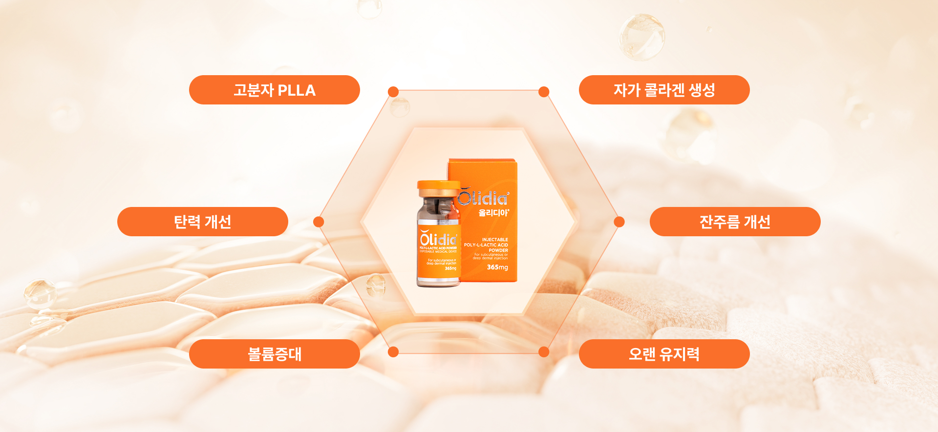 올리디아 이미지 3