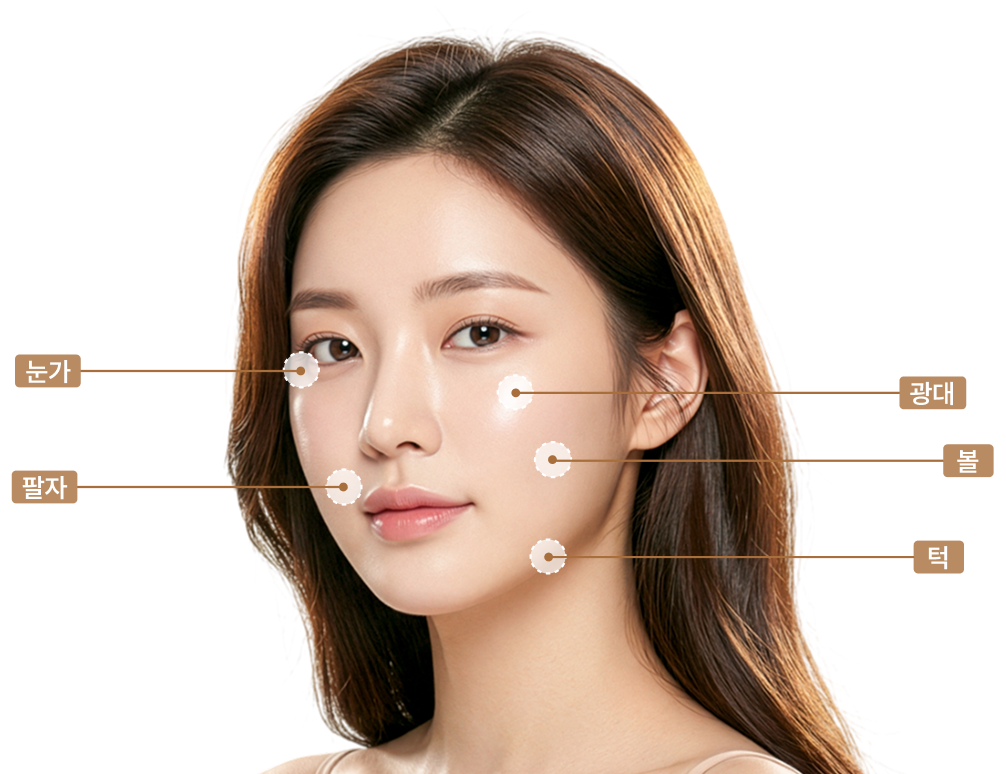 시술 부위 안내