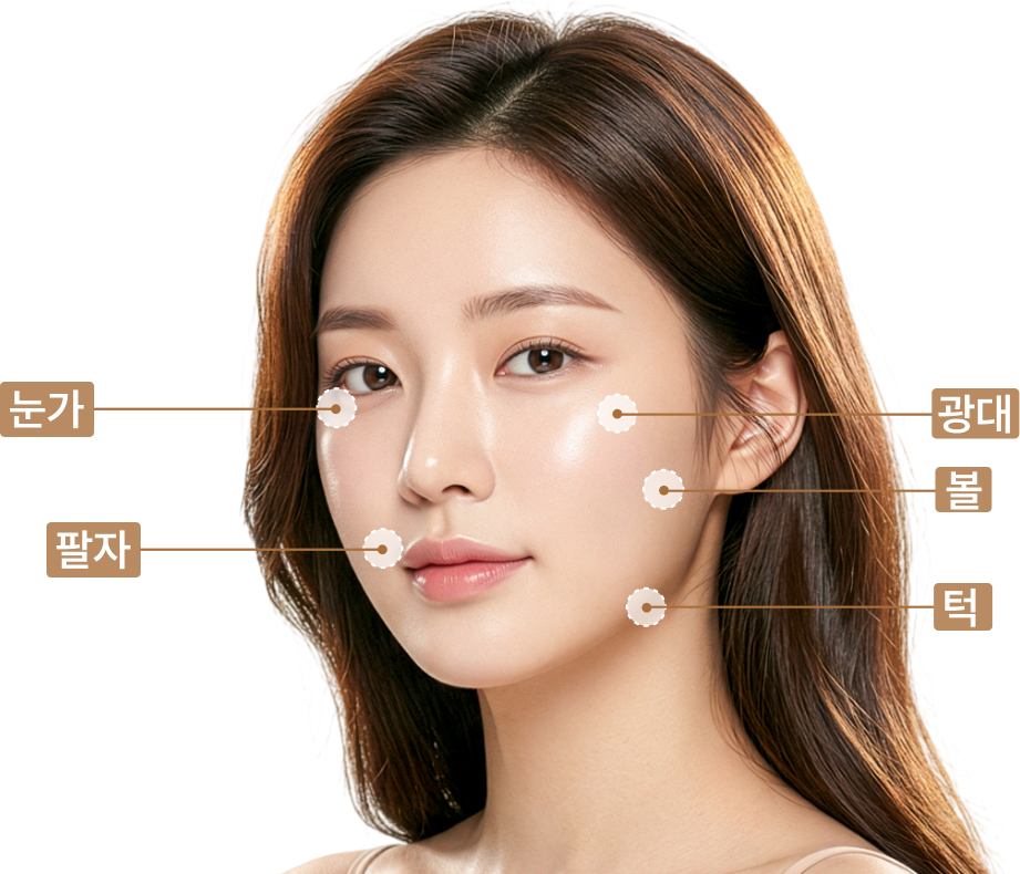 시술 부위 안내